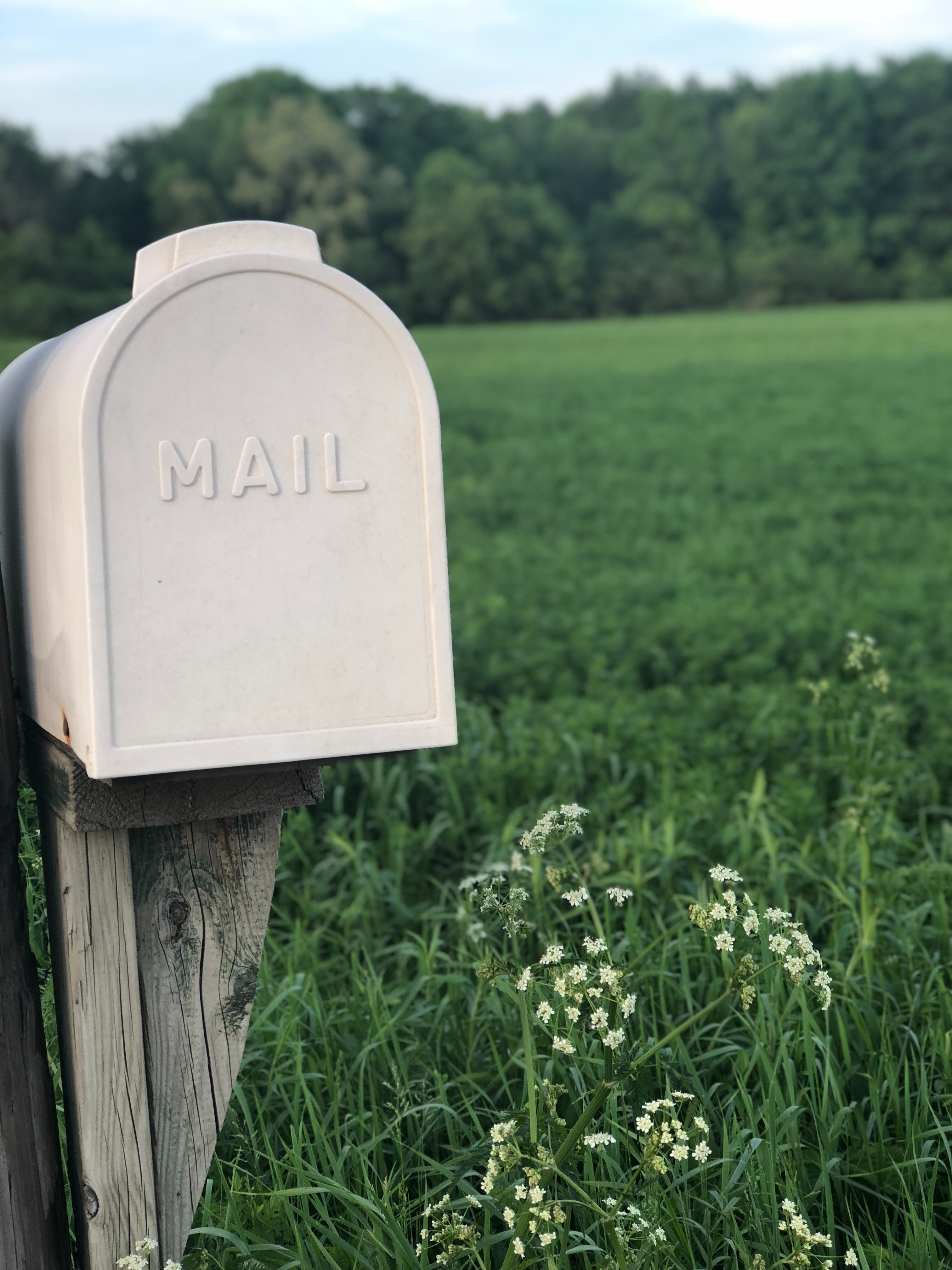 white mailbox on wood post in green field